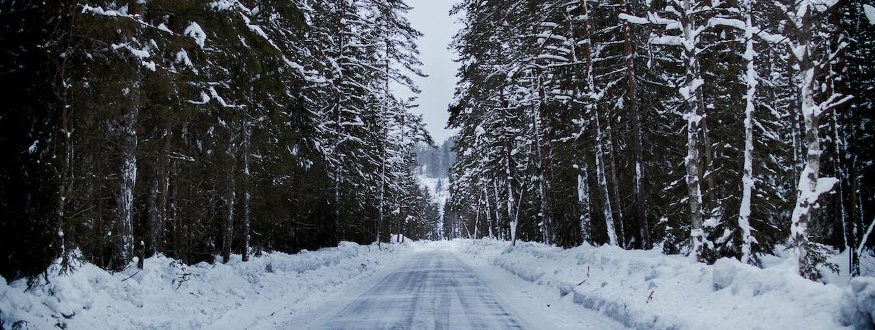 snöig skogsväg